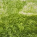 AMFORE Citrus Green - Designer rug
